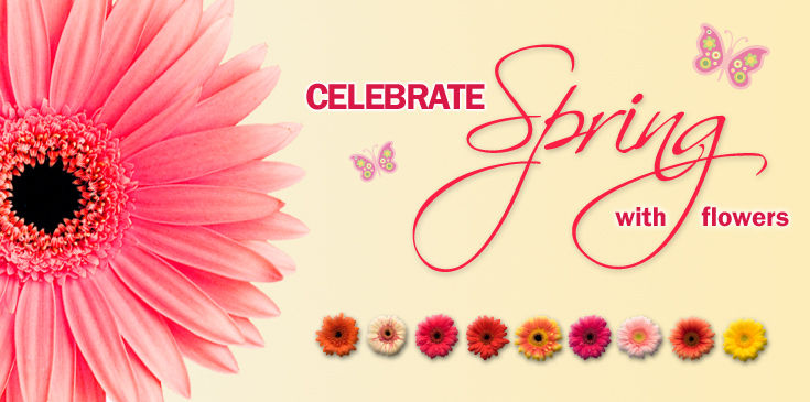 Spring is Here - 