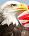 4th of July