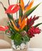 Tropicals