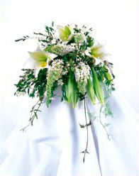 Weddings at Mancuso's Florist