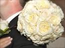 Bride & Groom