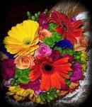 Beautifully Bright