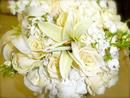 Classic White