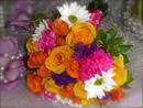 Beautifully Bright