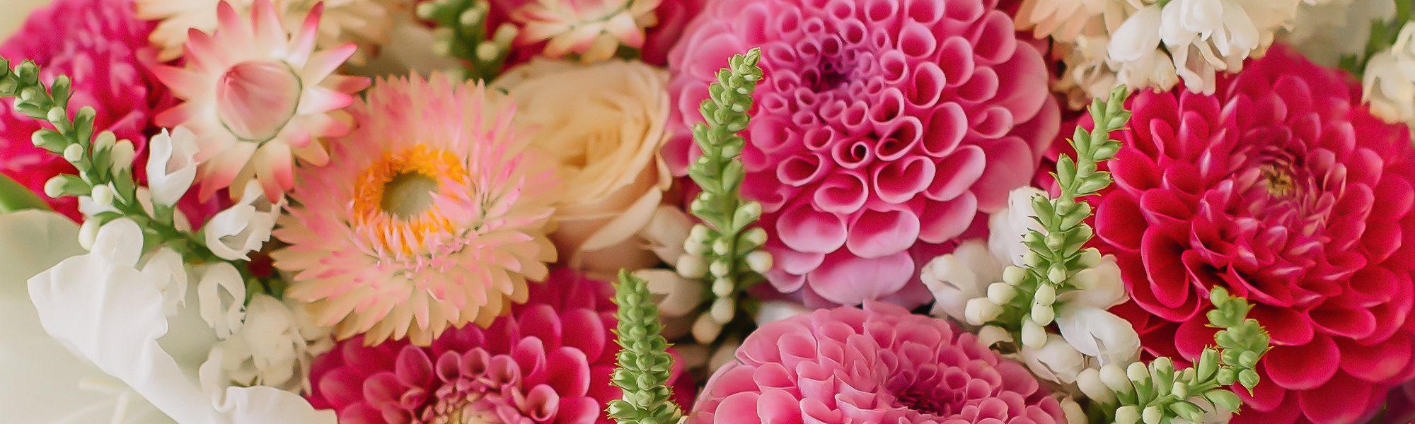 Mancuso's Florist Flower Delivery Saint Clair Shores, MI Florist