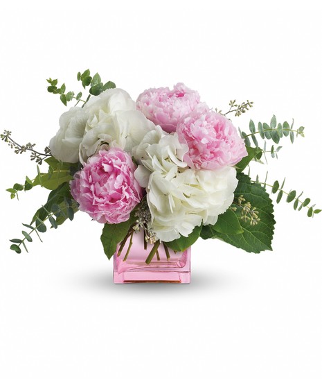 Peony Blooms
