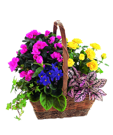 Colorful Garden Basket