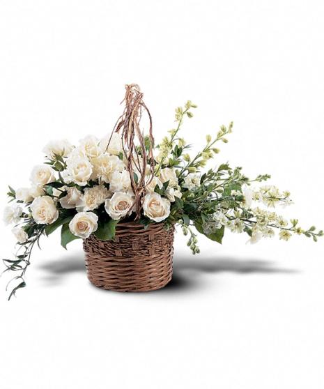 Basket of Light