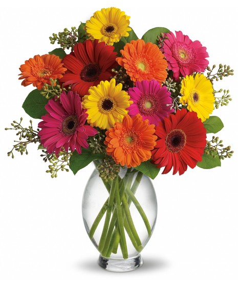 Delightful Gerbera Daisies