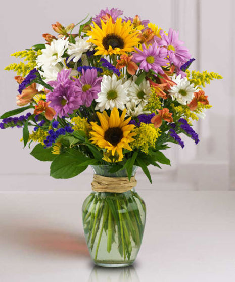 Sunflower Surprise