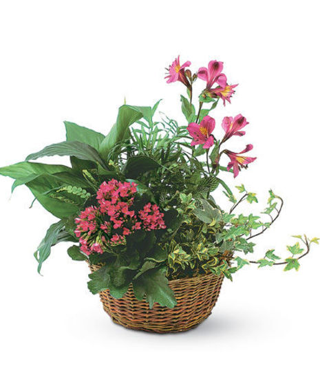 Garden Basket with Fresh Flowers Added