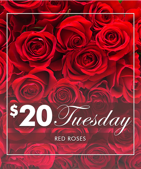 $20 Tuesday! - Detroit Area Florist - Mancuso's Florist - St. Clair Shores, Michigan (MI), St. Clair Shores Flower Shop