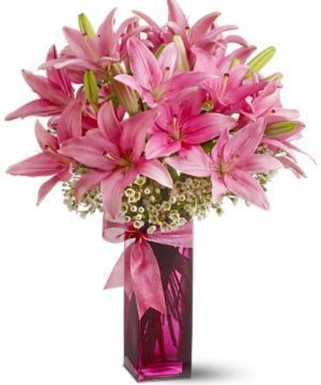 Pretty Pink Lilies