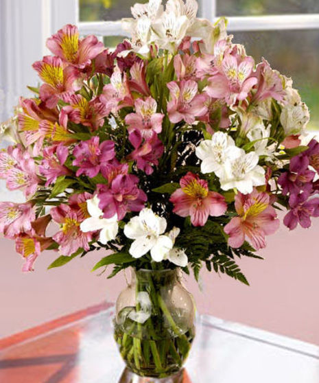"Blooming Lilies"