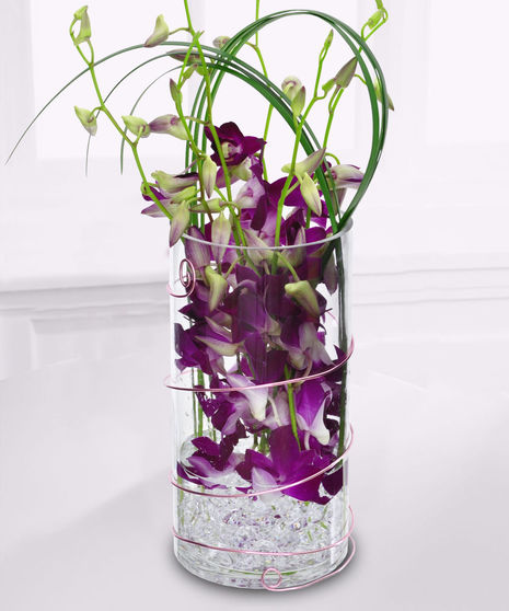 A glass vase, containing purple and white flowers with green stems, stands on a white surface
