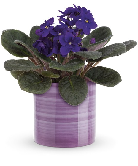 Amazing Amethyst Bouquet - Mancuso's Florist - Detroit, MI Flower Delivery