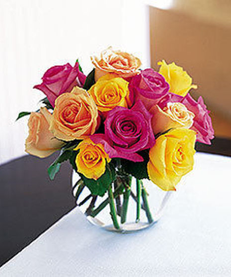 Dozen Mixed Color Roses, Wrapped