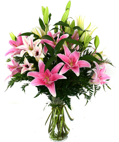 Enchanting Stargazer Lilies