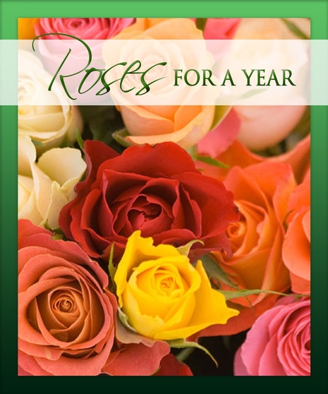 Roses for a Year